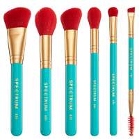 Image of Spectrum Travel Books Cannes 6 Piece Makeup Brush Set