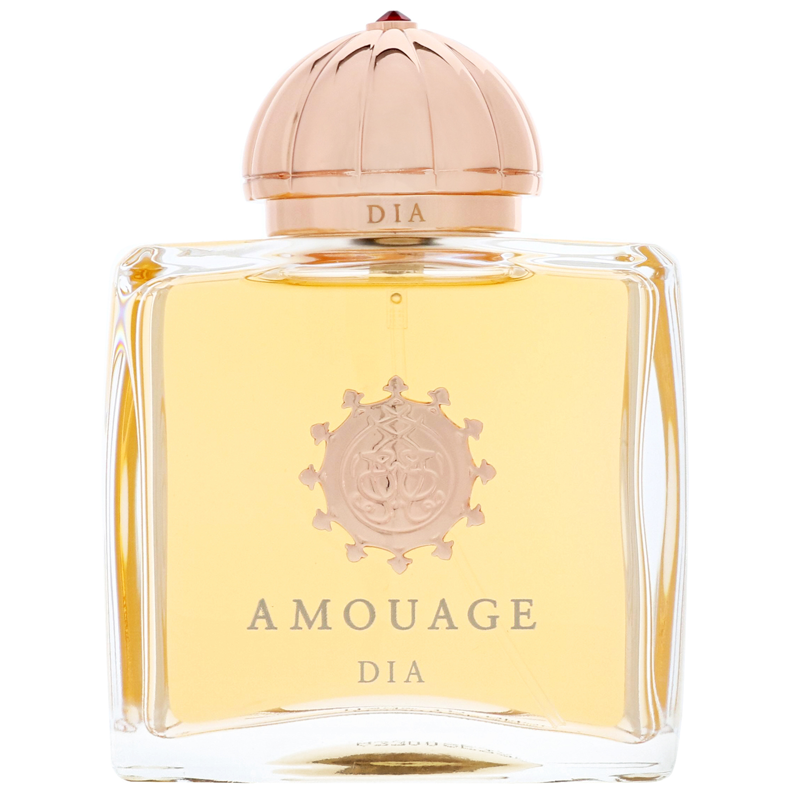 Amouage - Dia Woman 100ml Eau de Parfum Spray 