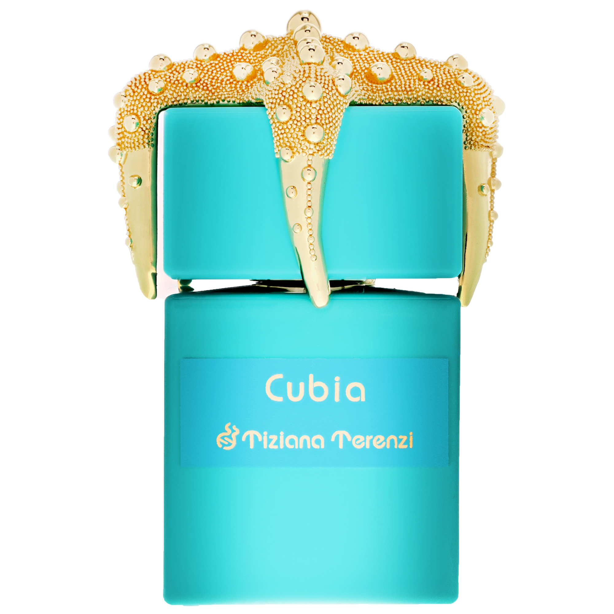 Tiziana Terenzi - Cubia 100ml Extrait de Parfum  for Men and Women
 