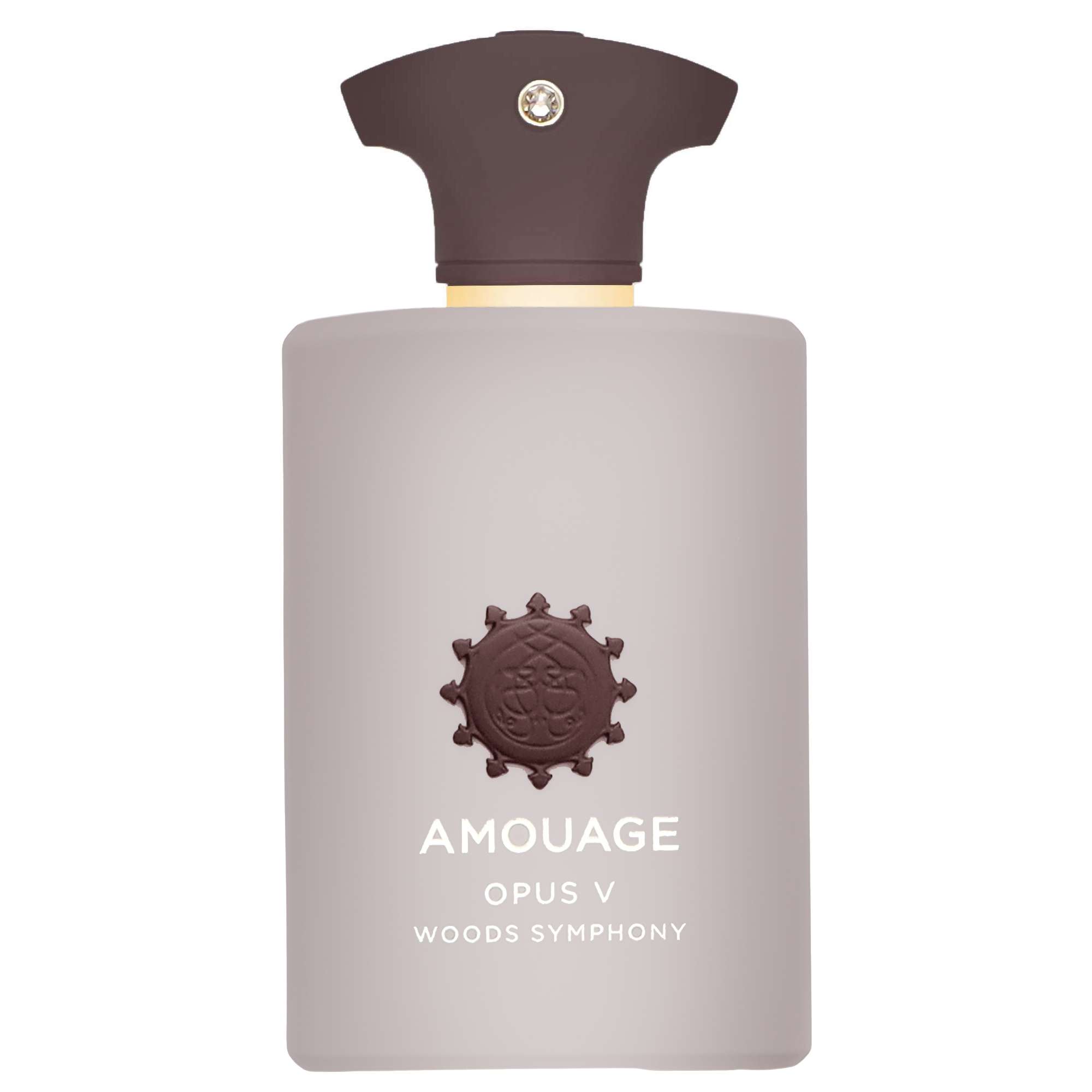 Amouage - Opus V Woods Symphony  100ml Eau de Parfum Spray  for Women